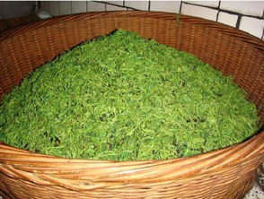 喝过的茶叶放到花盆里面能起到肥料的作用吗 