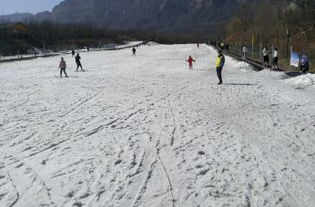 林州太行风情滑雪场攻略,林州太行风情滑雪场门票 游玩攻略 地址 图片 门票价格 