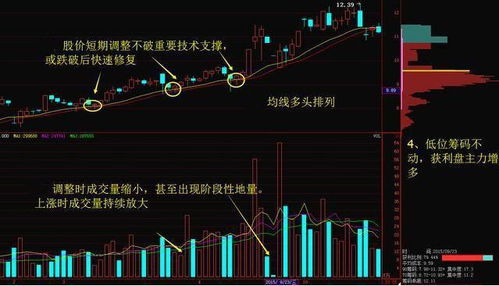 股票以5开头的是哪个证交所的？