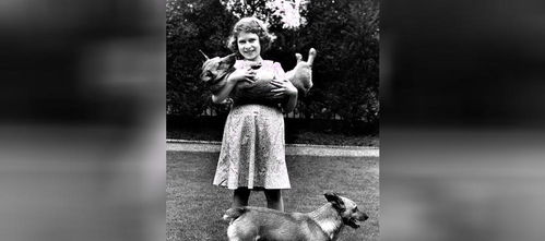 英国女王哀悼失去的爱犬 这只柯基却是令她最伤心