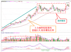 认识主力单庄与混庄的区别