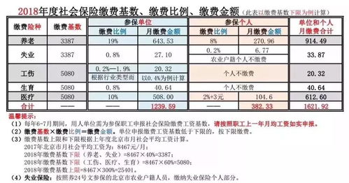 职工上年月工资申报如何操作