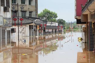 湖南省长沙县榔梨镇2017年水灾现场实拍图集 