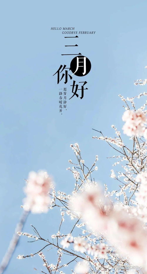 情花下，那抹易碎的容颜(花落红颜碎)