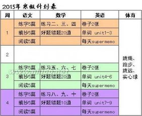 制定寒假学习计划的好处(制定寒假计划表的收获与感受)