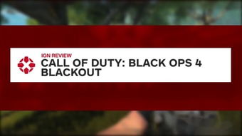 does black ops 6 have resurgence,What is Black Ops 6 Resurgence?