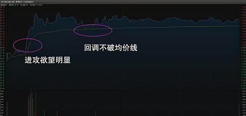 你知道炒股的最高境界是什么吗？