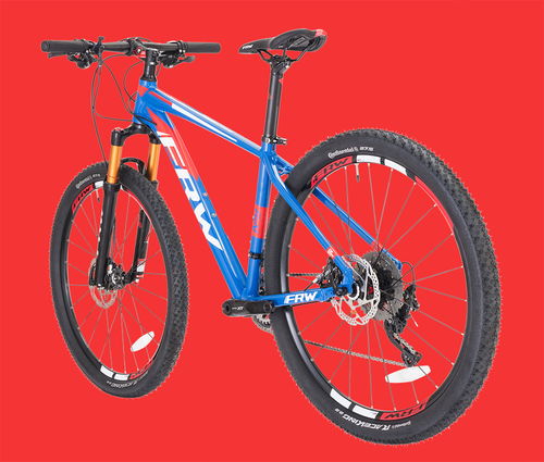 世界碳纤维自行车品牌排行榜前十名辐轮王土拨鼠自行车品牌哪个好