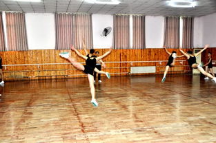 初中舞蹈学校,中学舞蹈学校的介绍。