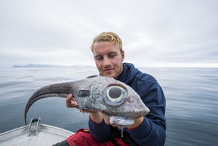 挪威男子钓到深海怪鱼 眼睛大得吓人