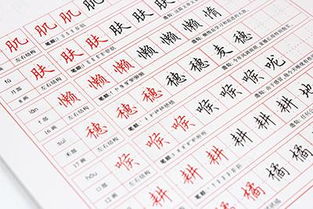 小马嘟嘟立志 让孩子写出一手漂亮有型的字