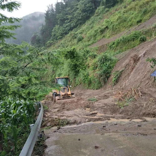 这里风景很美,暴雨来临之际,他们积极应战