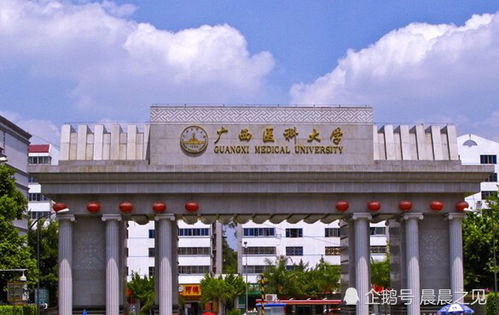桂林大学排名，实力不凡，全国瞩目！