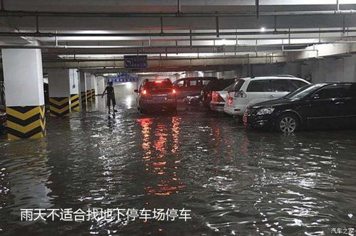 永修免费停车场,2021金华因台风可就近路边免费停车-免费停车点