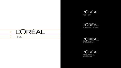 平面设计 欧莱雅 L Oreal 品牌形象设计