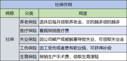 如何自己缴纳社保