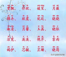 冰雪聪明寓意出息的宝宝名字,提升独特的人格魅力 