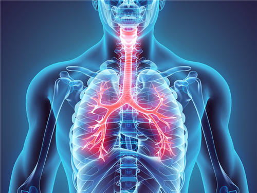 肺热严重,身体会有4个表现,若你没有发现说明症状还很轻