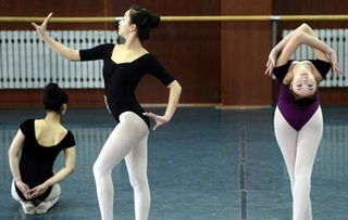 高考舞蹈特长生在哪考,福建省舞蹈艺考可以考哪些学校