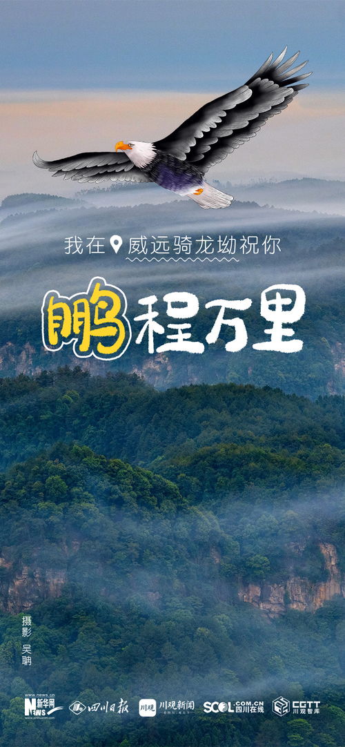 海报丨祝你心想 试 成,前程似 景