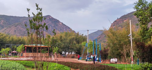 禄丰竹溪旅游风景区有哪些(楚雄有哪些绝美露营地推荐)