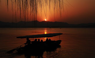 鲜花与夕阳专辑 速来速去 