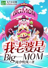 我老婆是Big MOM最新章节 风中吹风 全集下载 飞卢原创小说在线阅读 