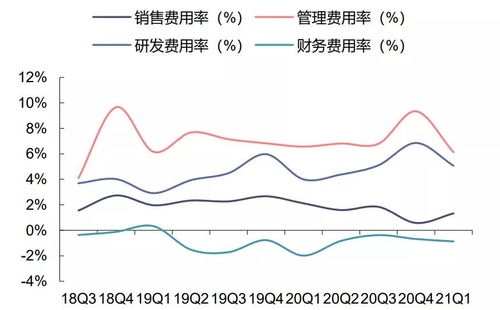 研发费用费用化和资本化有什么区别、和什么时候费用化，什么时候资本化？谢谢了，大神帮忙啊