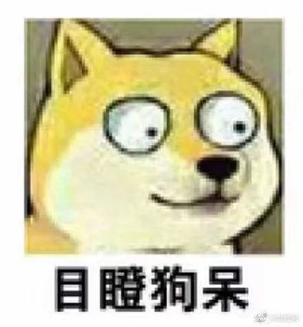 dogeking,春晚DOGKING涨了多少倍