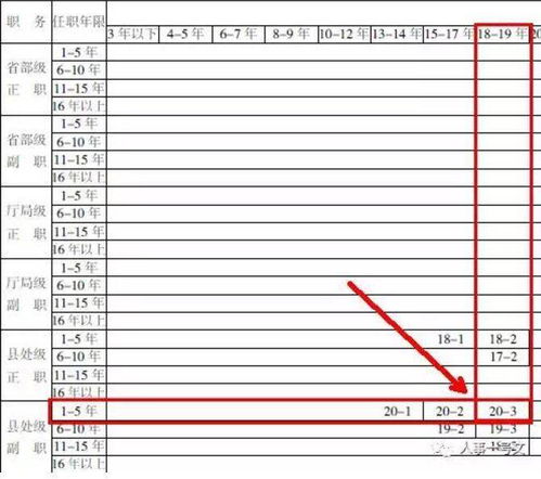 公务员级别一览表的内容有哪些,公务员的级别有哪些？-第2张图片