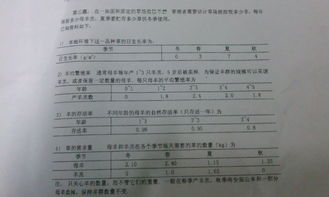 应用数学毕业论文题目