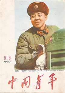 见证1963 