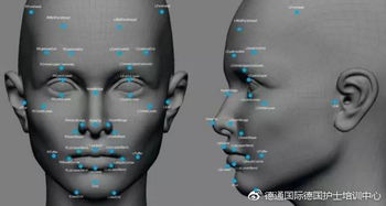人脸识别和人工智能的关系,人脸识别技术与人工智能的关系是什么