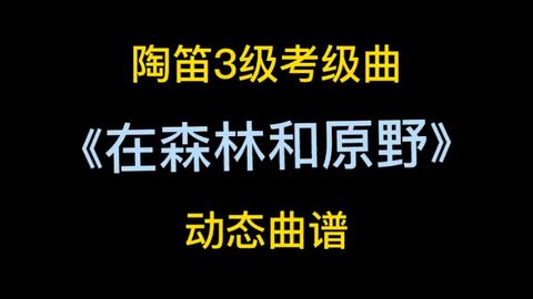 哭泣的森林 主题曲