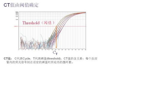 荧光定量的Ct值和Cp值的区别在哪里