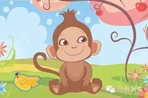 2016年猴宝宝何时生最好命运(2016年出生的猴宝宝是什么命)