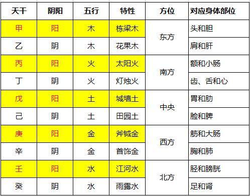 四柱八字中天干与地支判断参考,天干地支断命重要性 