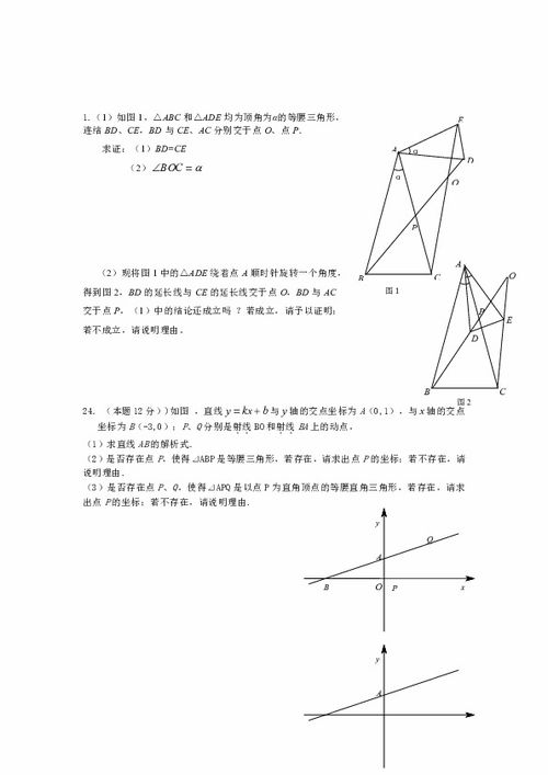 2013年八年级上学期数学期末模拟试题 拉分题