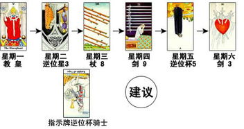 连娜塔罗牌占卜 每周预测牌阵 社交占卜