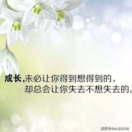 阳光正能量心态的句子,句句优美,让人受益匪浅