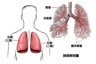 手术治疗肺癌并发症会有哪些 