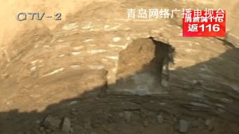 青岛村民挖树坑挖出神秘古墓 有门有窗 组图