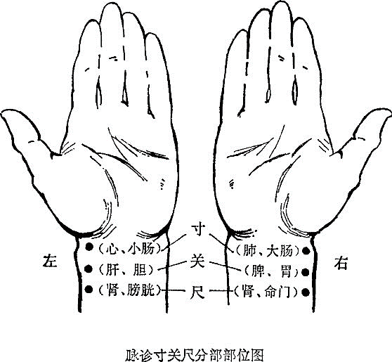 切脉很高深 黄帝内经 给你扫盲 