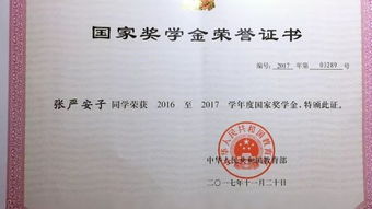 励志奖学金地址如何填报,国家励志奖学金困难认定怎么填？