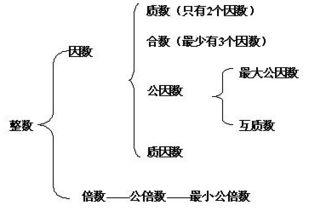 倍数和因数是什么意思 全面点 