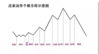 怎么才能看出庄家的进出，建仓，洗盘还是出货？