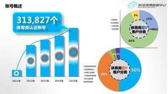 运动员表现的量化分析