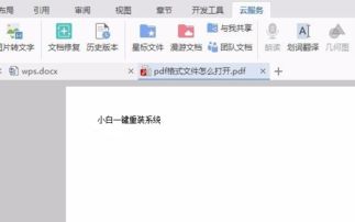 pdf文件怎么打开,pdf文件怎么打开 详解pdf文件打开方法？-第3张图片