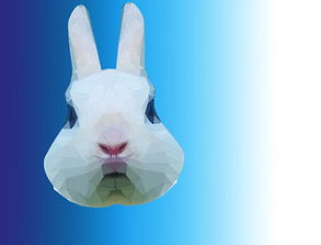 水晶格兔