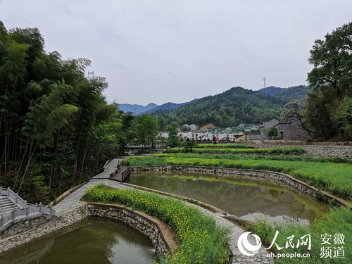 大湾村大变化 山村旅游火起来 